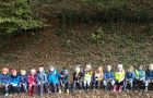 Otroci oddelka Metulji raziskujemo gozdove